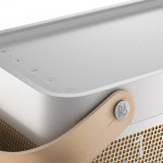 B&O BEOPLAY Beolit 20