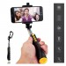 Gậy chụp ảnh Bluetooth Remax RP-P2-5