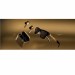 Skullcandy Indy Truly Wireless (DOPE Gold Limited Edition)-4