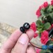 Tai Nghe Sennheiser Momentum In Ear Wireless (M2IEBT) (Nobox)