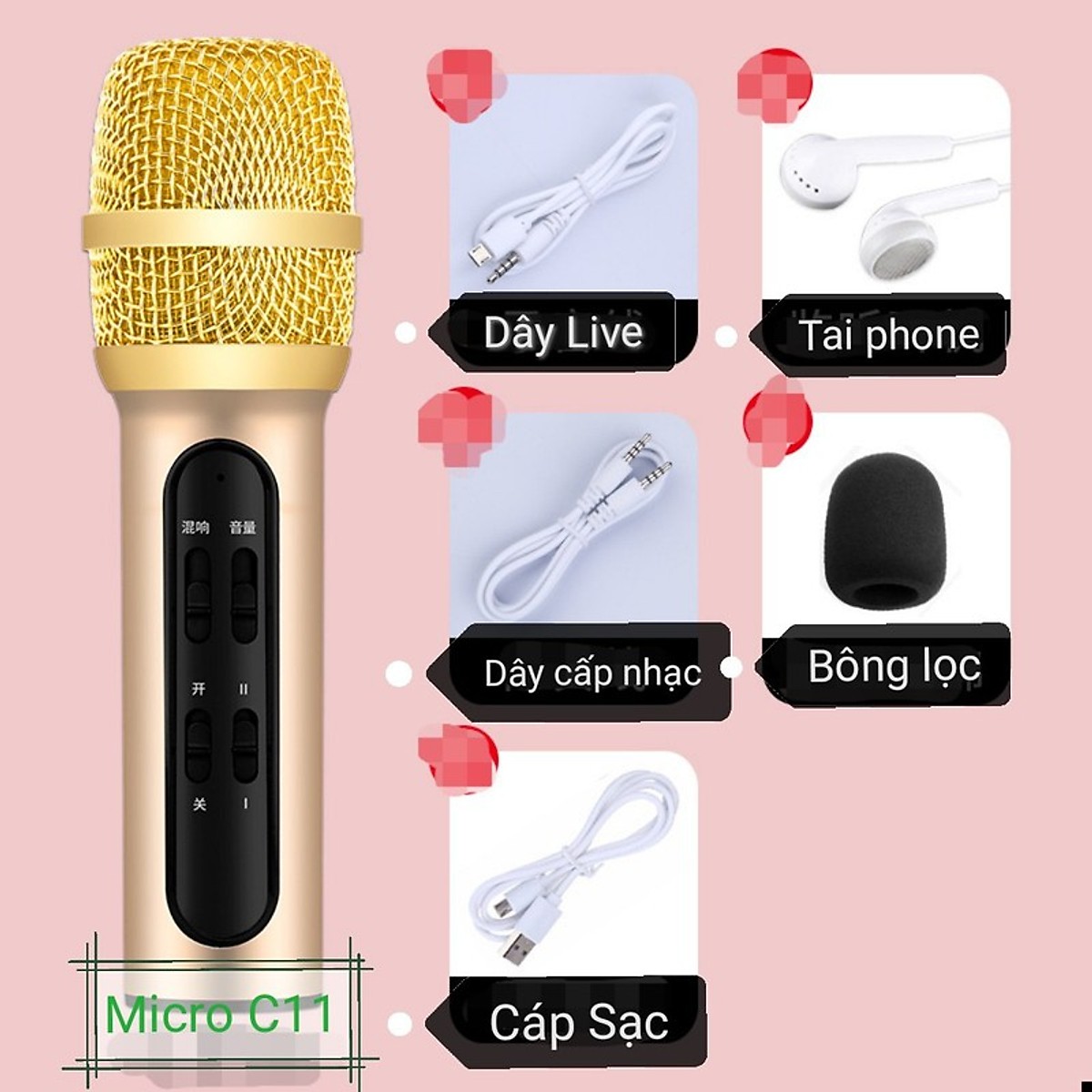Micro C11 (Bản nâng cấp IC | Chỉnh Echo | Kèm dây Livestream làm sạch tiếng)