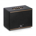 Loa Alpha Works Classic AW-V100 (Pin 4h | Công suất 100W | Bluetooth 5.0)