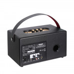 Loa Alpha Works Classic AW-V80 (Pin 4h | Công suất 80W | IPX5 | Bluetooth 5.0 | Hỗ trợ hát Karaoke)