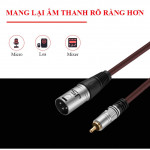 JSJ 606D/0.8m (1 đầu XLR ĐỰC ra 1 đầu RCA)-3