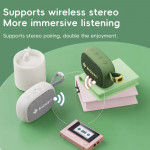 Loa FiiO SNOWSKY Anywhere-10