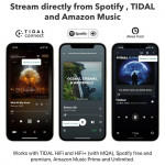 WiiM Mini (Music Streaming | TI PCM5121 | Wifi | Bluetooth 5.0 | Airplay 2)-9