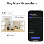 WiiM Mini (Music Streaming | TI PCM5121 | Wifi | Bluetooth 5.0 | Airplay 2)-6