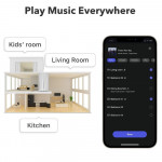 WiiM Pro Plus (Music Streaming | AKM 4493SEQ | Wifi | Ethernet |  Bluetooth 5.0 | Airplay 2 | Roon Ready)-7