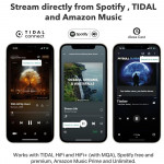 WiiM Pro Plus (Music Streaming | AKM 4493SEQ | Wifi | Ethernet |  Bluetooth 5.0 | Airplay 2 | Roon Ready)-5