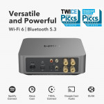 WiiM Amp Pro (Music Streaming Amplifier | ESS ES9038Q2M | TI TPA3255 | Sub Out | Wifi 6 | Lan | Bluetooth 5.3 hai chiều)-9