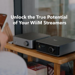 WiiM Vibelink Amp (Amplifier cho loa Passive | Tích hợp DAC | Công suất 100W I ESS 9039Q2M | TI TPA3255 | TI OPA1612)-4