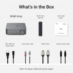 WiiM Amp (Music Streaming Amplifier | ESS ES9018K2M | TI TPA3255 | Sub Out | Wifi 6 | Lan | Bluetooth 5.3 hai chiều)-2